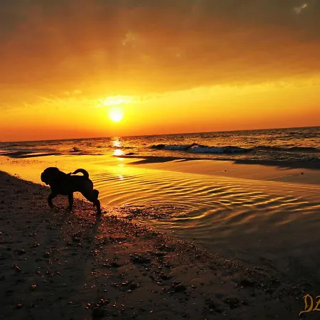 Dzafar * Pogorzelica (Gmina Rewal)