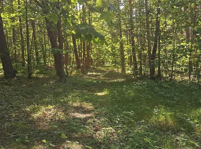 Dzafar 홈스테이 포고르젤리차