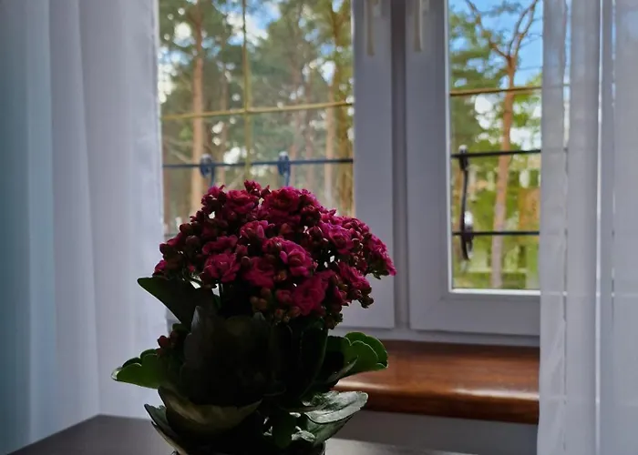 Ubytování v soukromí Dzafar *