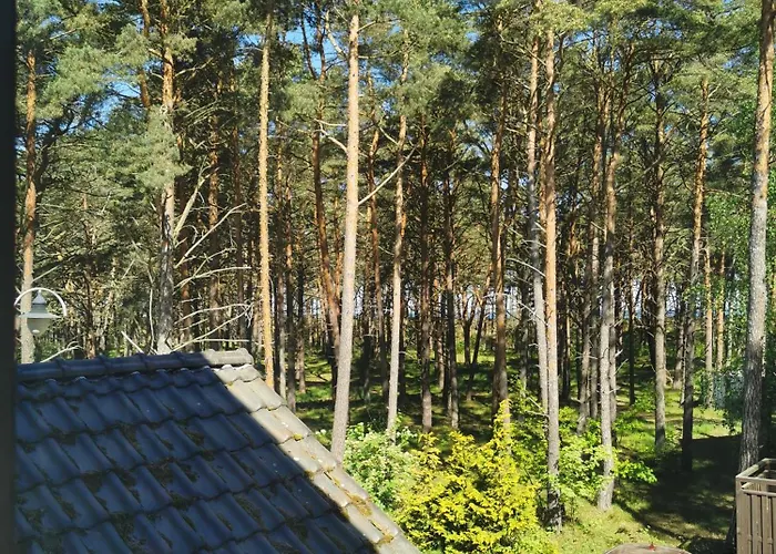 Dzafar 포고르젤리차